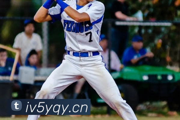 星空网页版官方入口平台生态图