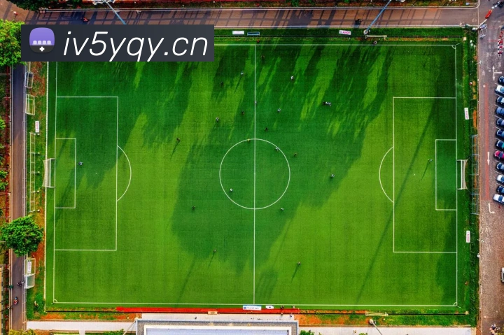 星空网页版官方入口全站App